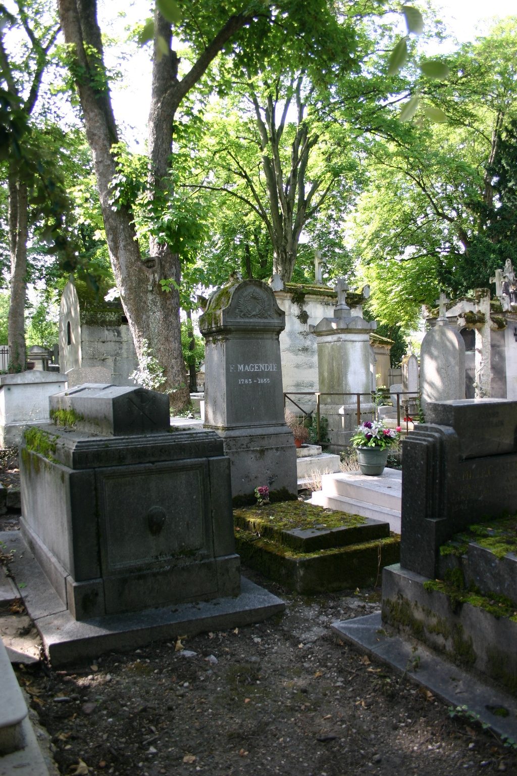 Francois%20Magendie%27s%20tomb%2C%20Pere%20Lachaise%20Cemetery%2C%20Paris%20%281%29.JPG